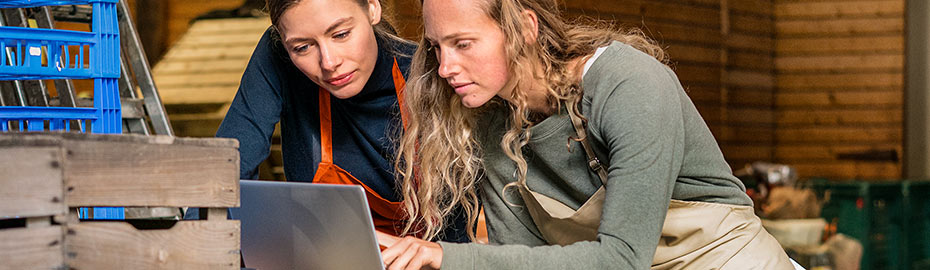 Volksbank Eg Online Banking Firmenkunden
